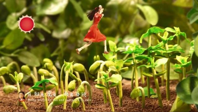 1574751421809068.jpg 9.jpg