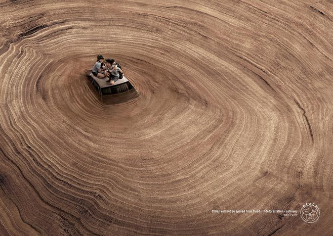 1574831521912036.jpg 105A51V3-3.jpg