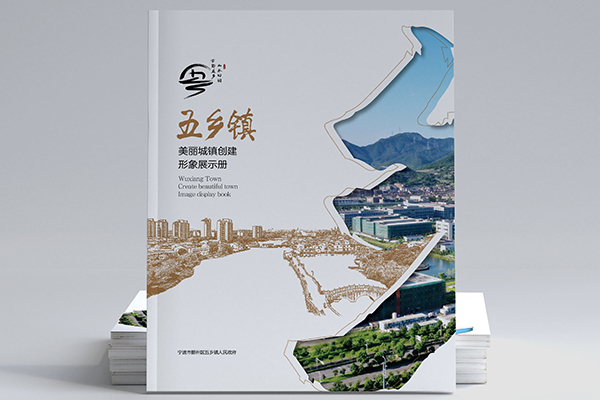 五鄉(xiāng)鎮(zhèn)迎檢畫冊設(shè)計(jì)